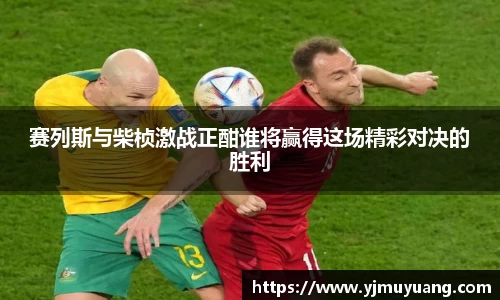 赛列斯与柴桢激战正酣谁将赢得这场精彩对决的胜利